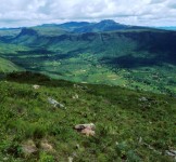 Pró-Espécies seleciona consultoria para implementar as ações do PAT Chapada Diamantina-Serra da Jiboia – Encerrada