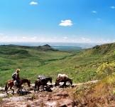 Pró-Espécies seleciona consultoria para elaboração de Projeto de Educação Ambiental para o PAT Chapada Diamantina-Serra da Jiboia – Encerrada