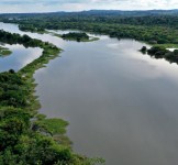 Pró-Espécies seleciona para contratação de um para botânico com conhecimento em espécies endêmicas ameaçadas de extinção do RJ – Encerrada