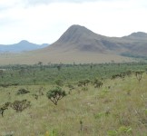 Pró-Espécies seleciona consultoria para identificação de áreas prioritárias para restauração PAN Bacia Alto Tocantins – Encerrada