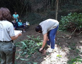 PAN Flora Endêmica do RJ realiza ações de prevenção de espécies exóticas invasoras