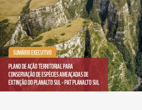 Plano de Ação Territorial Planalto Sul