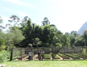 Equipe do PAN Flora Endêmica do RJ realiza diversas ações no Território Vale do Paraíba