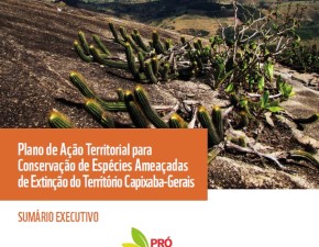 Plano de Ação Territorial Capixaba-Gerais