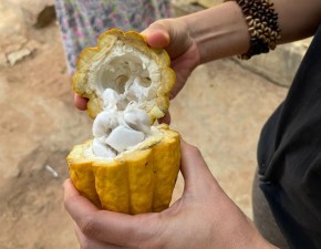 Oficina culinária busca garantir segurança alimentar e renda na Chapada Diamantina