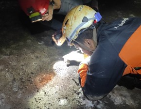 Expedição encontra animal ameaçado de extinção, registrado há 25 anos
