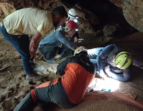 Ação coordenada pelo PAT Xingu prevê a preservação de animais que vivem em cavernas 