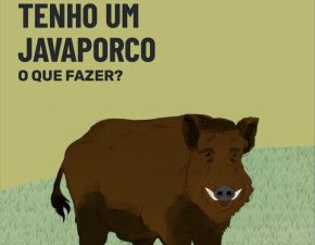 Publicação orienta sobre o manejo de espécies exóticas invasoras no PAT Espinhaço Mineiro