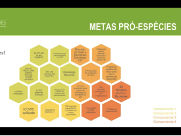 Projeto Pró-Espécies celebra resultados e discute próximos passos para conservação da biodiversidade
