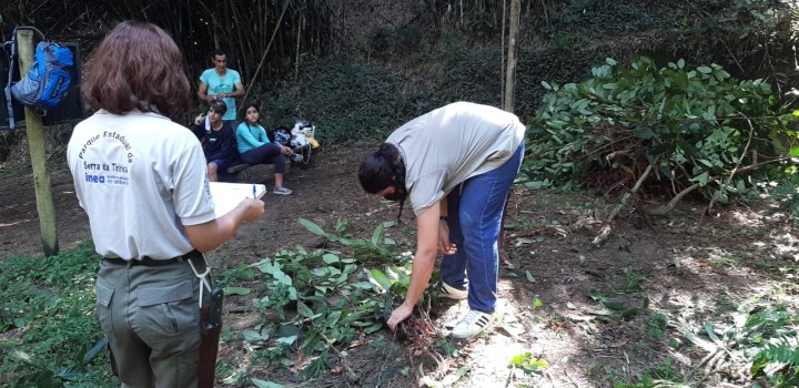 PAN Flora Endêmica do RJ realiza ações de prevenção de espécies exóticas invasoras