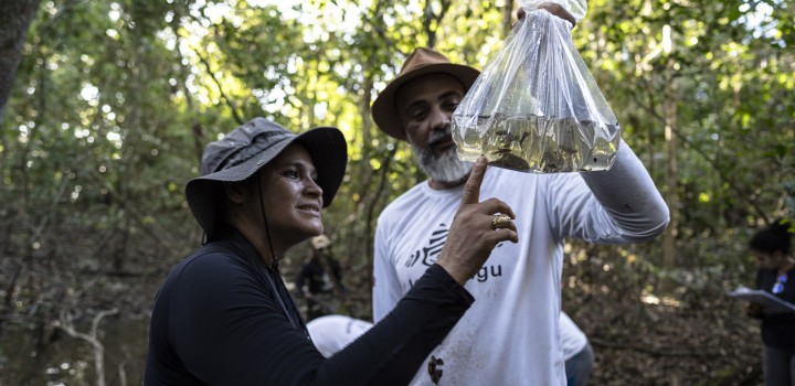 Peixes ameaçados de extinção são encontrados por pesquisadores