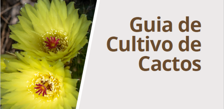 Guia reúne técnicas para cultivo de cactos