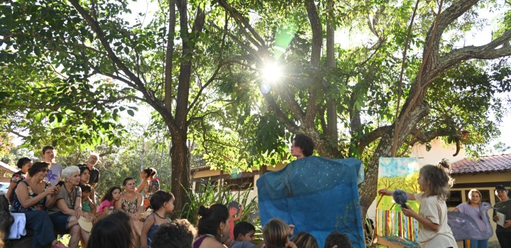 Livro retrata jornada pela preservação ambiental