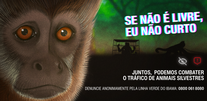 Campanha aborda o papel das redes sociais no estímulo ao tráfico de animais silvestres