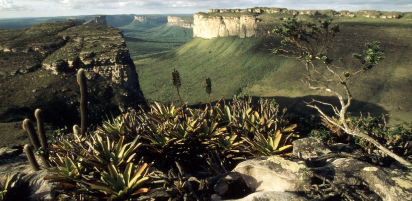 Pró-Espécies seleciona consultoria para moderação e relatoria da elaboração do PAT Chapada Diamantina-Serra da Jiboia  – Encerrada