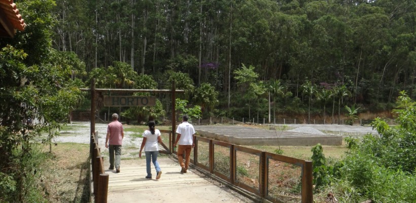 Pró-Espécies seleciona consultoria para coleta, identificação e manejo de amostras na coleção do herbário do Departamento de Botânica da UFRRJ – Encerrada