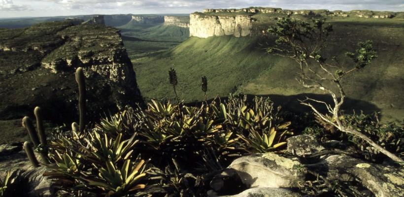 Pró-Espécies seleciona consultoria para Execução de Cadastros Ambientais Rurais dos imóveis localizados no PAT Chapada Diamantina-Serra da Jiboia – Encerrada