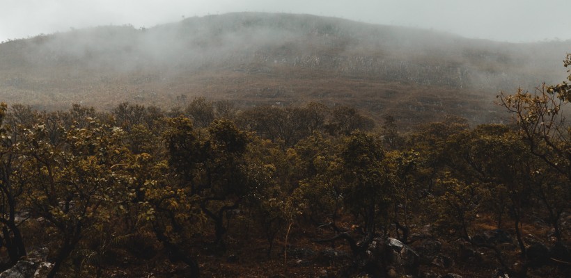 Pró-Espécies seleciona consultoria para desenvolvimento de soluções de EaD para o Ambiente Virtual de Aprendizagem do IBAMA – Encerrada