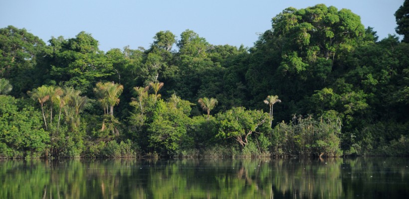 Pró-Espécies seleciona consultoria para serviço de tradução de documentos sobre a Avaliação do Risco de Extinção de Espécies – Encerrada