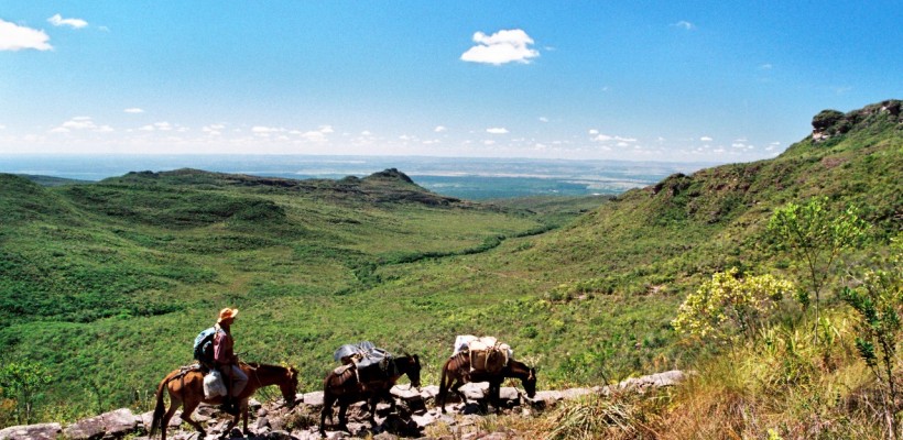 Pró-Espécies seleciona consultoria para elaboração de Projeto de Educação Ambiental para o PAT Chapada Diamantina-Serra da Jiboia – Encerrada