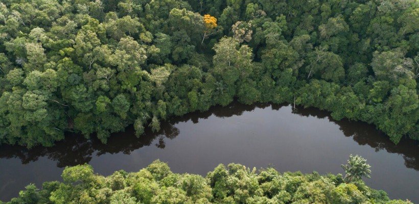 Pró-Espécies seleciona para elaborar documentos com orientações para o planejamento e execução de processos de avaliação do risco de extinção das espécies – Encerrada