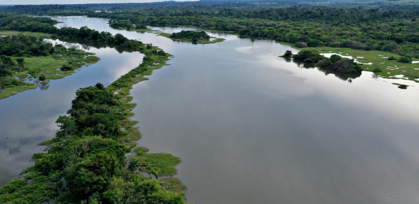 Pró-Espécies seleciona para contratação de um para botânico com conhecimento em espécies endêmicas ameaçadas de extinção do RJ – Encerrada