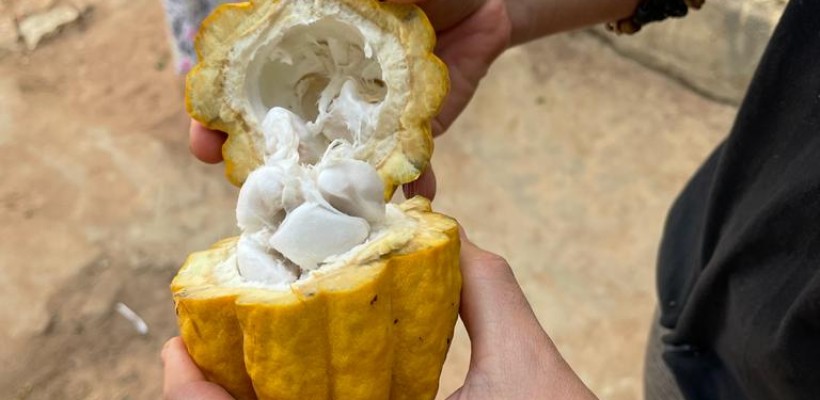 Oficina culinária busca garantir segurança alimentar e renda na Chapada Diamantina