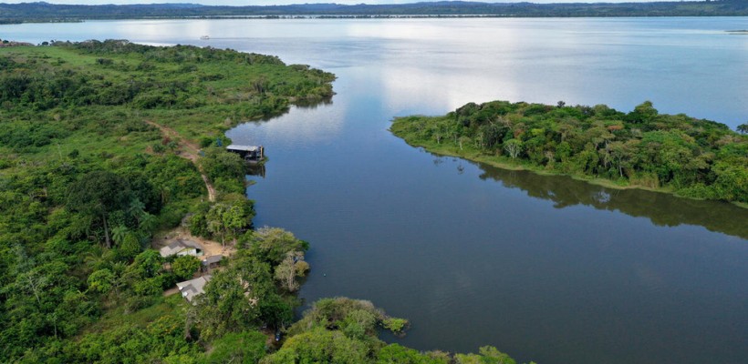 Pró-Espécies seleciona consultoria para elaboração de material gráfico do PAT Meio Norte e PAT Xingu – Encerrada