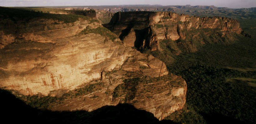 Pró-Espécies seleciona consultoria para realizar restauração ambiental em áreas do PAT Chapada Diamantina-Serra da Jiboia – Encerrada