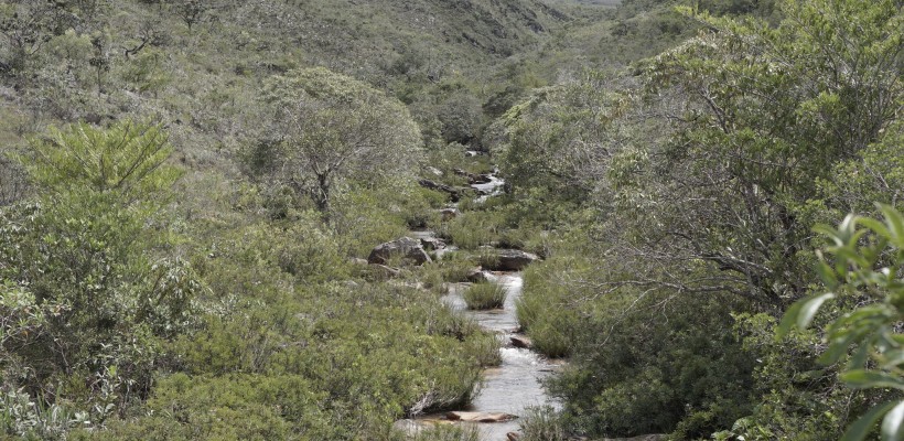 Entenda a classificação de espécies ameaçadas do ICMBio - ((o))eco