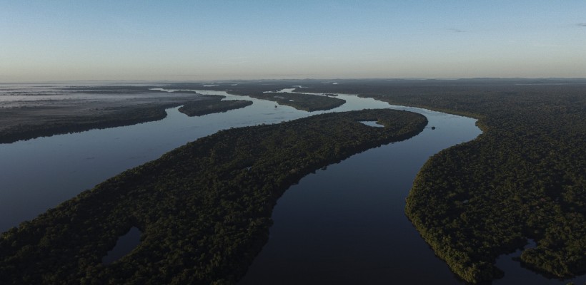 Pró-Espécies seleciona consultoria para produção de conteúdo didático e midiático relacionados a conservação do PAN Peixes Amazônicos – Encerrada