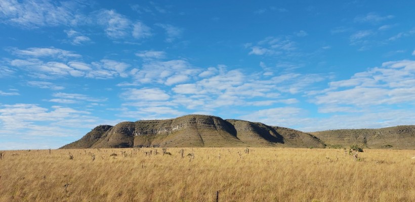 PAN Bacia do Alto do Tocantins alcança metas e garante a preservação da biodiversidade do Cerrado