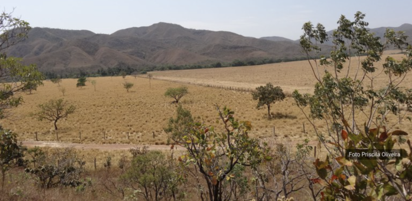Expedição científica apoia conservação de espécies ameaçadas do PAN Bacia do Alto TO