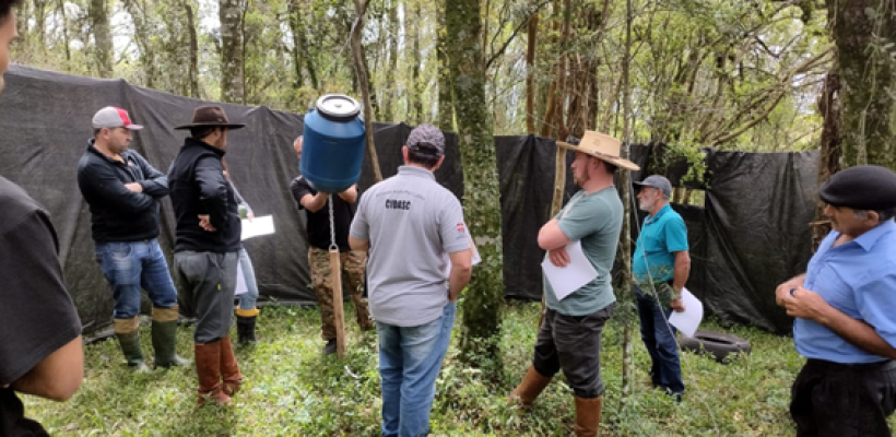 Ações do PAT Planalto Sul contribuem para o controle de espécie exótica invasora em Santa Catarina