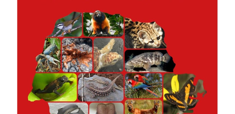 Paraná vai lançar em simpósio livro da fauna ameaçada