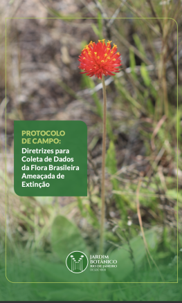 Protocolo de campo fortalece a coleta de dados para a conservação da flora brasileira
