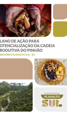 Plano de Ação fortalece a cadeia produtiva do pinhão no Território Planalto Sul