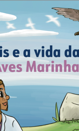 Lis e a vida das aves Marinhas