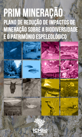 Plano de Redução de Impactos de Mineração