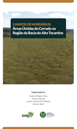 Campos de Murundus: áreas úmidas do Cerrado e sua conservação na Bacia do Alto Tocantins