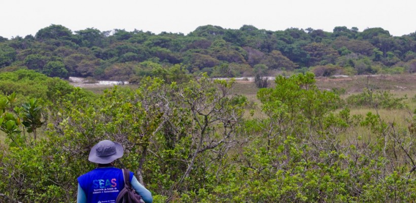 Expedição de campo no Rio de Janeiro coleta possíveis espécies endêmicas