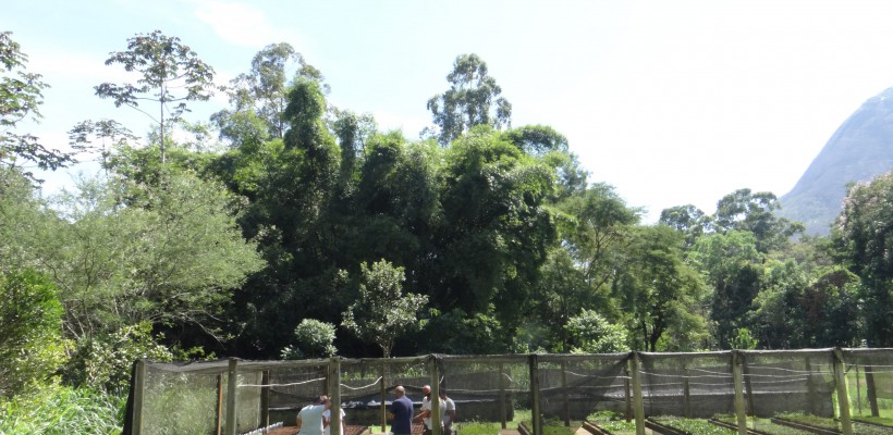Equipe do PAN Flora Endêmica do RJ realiza diversas ações no Território Vale do Paraíba