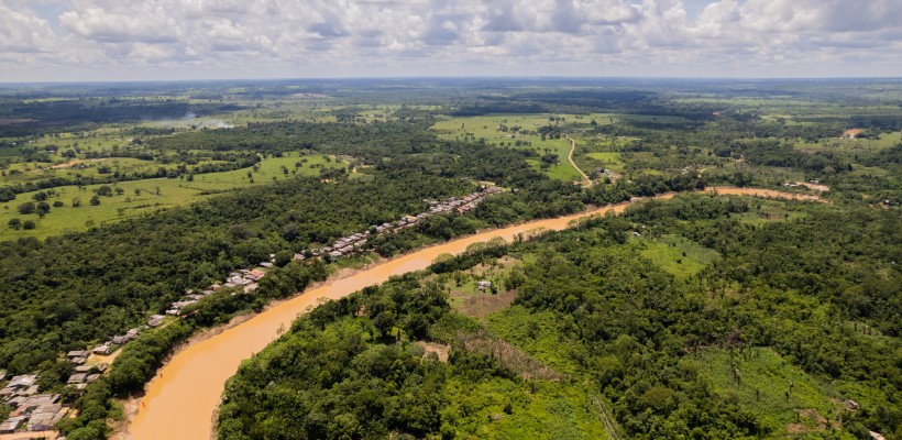 Pró-Espécies seleciona consultoria para estudo técnico e estratégia para conservação de espécies ameaçadas no PAN Peixes Amazônicos, afetadas por hidrelétricas e hidrovias – Encerrada