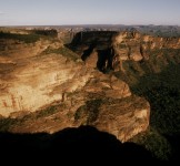 Pró-Espécies seleciona consultoria para realizar restauração ambiental em áreas do PAT Chapada Diamantina-Serra da Jiboia – Encerrada