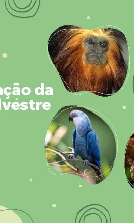Cartilha Conservação da Fauna Silvestre na Bahia