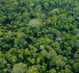 Pró-Espécies seleciona consultoria jurídica para elaborar um Diagnóstico Técnico-Jurídico Propositivo à Inclusão de Ações dos PANs no Licenciamento Ambiental na Amazônia – Encerrada