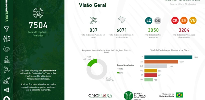 Painel simplifica acesso a dados da flora brasileira ameaçada de extinção