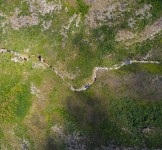 Pró-Espécies seleciona consultoria para mapeamento da cobertura do solo e da hidrografia para o estado do RJ – Encerrada
