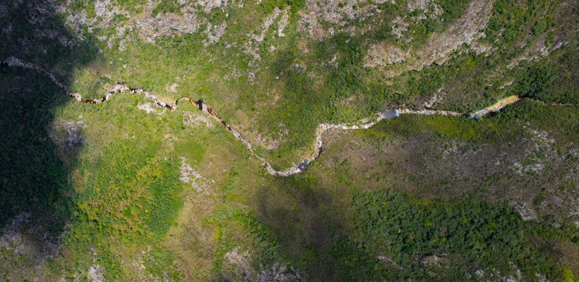 Pró-Espécies seleciona consultoria para mapeamento da cobertura do solo e da hidrografia para o estado do RJ – Encerrada