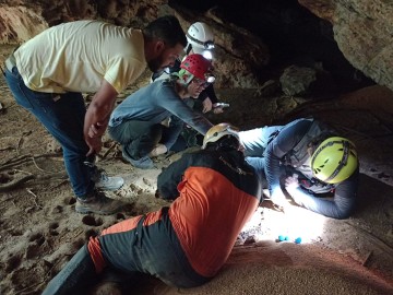 Equipe do CNCFlora/JBRJ realiza expedição científica para coleta de material botânico no Espinhaço Mineiro